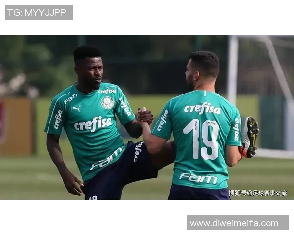 博塔弗戈主场迎战桑托斯双方争夺关键三分的精彩对决